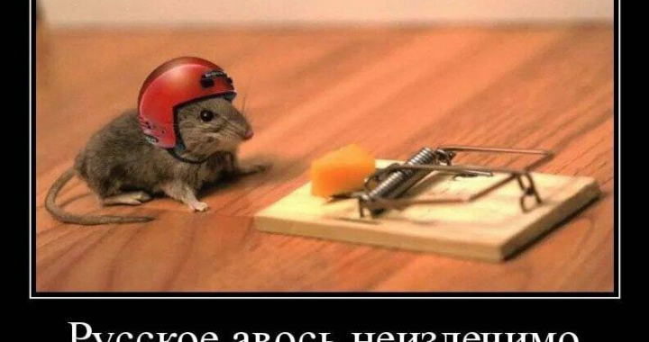 Russian Авось